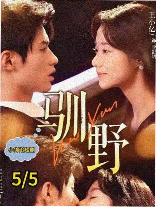 旧砚新墨剧集卡封面，古装传奇片种，2023年上映
